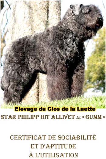 GUMM elevage du clos de la luette &copy;